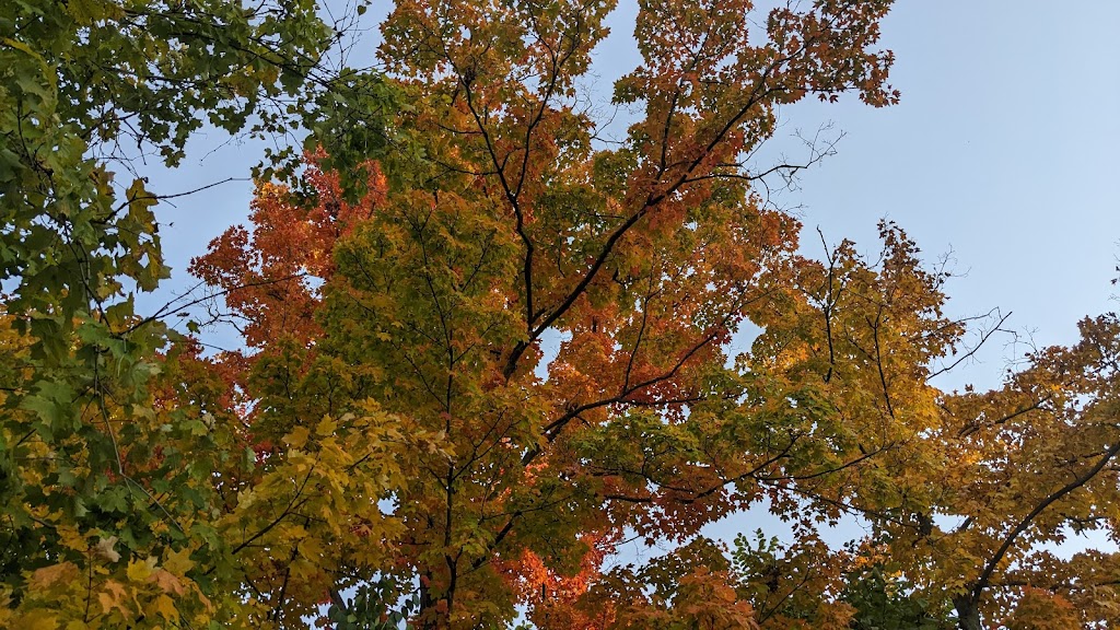 Veterans Park | 8531 Forest Rd, Cincinnati, OH 45255, USA | Phone: (513) 474-0003