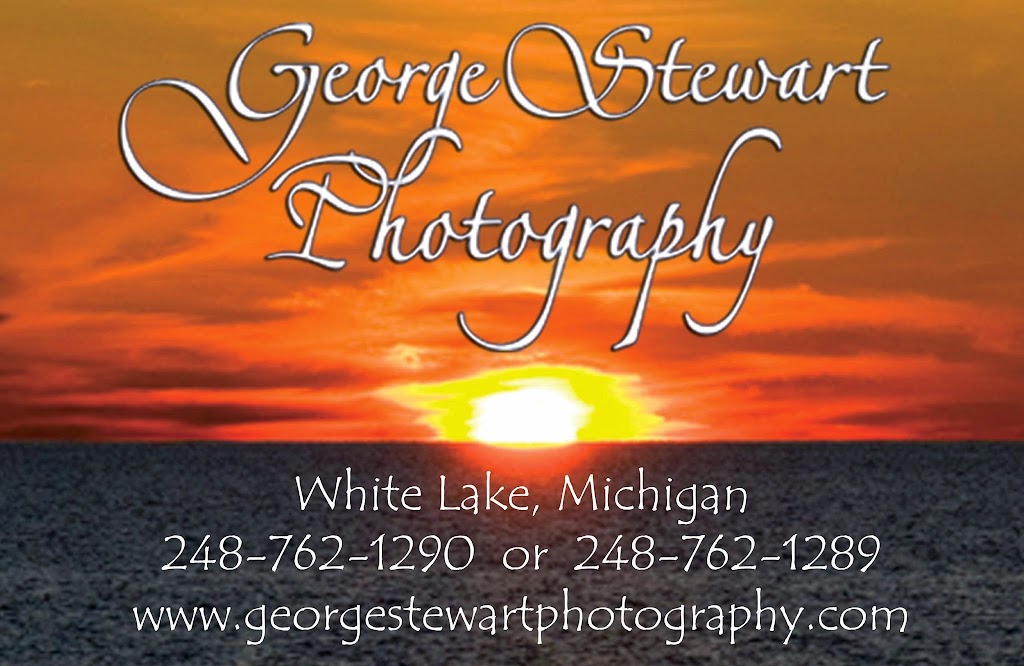 George Stewart Photography | 6201 Tyler Woods, White Lake Charter Township, MI 48383, USA | Phone: (248) 762-1289