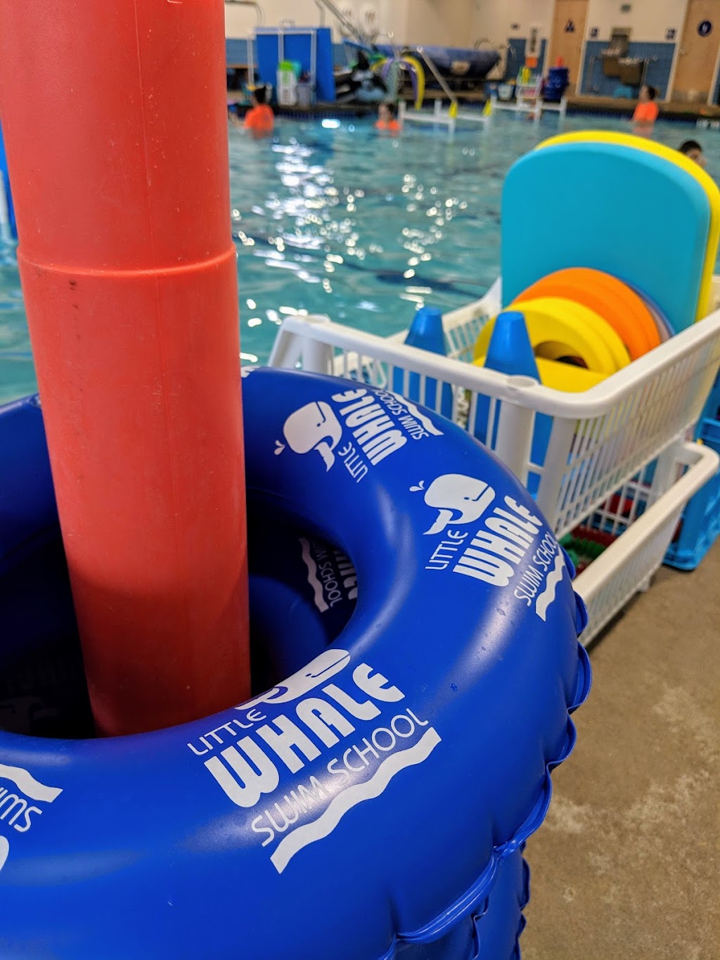 Little Whale Swim School | 4106 El Camino Ave, Sacramento, CA 95864, USA | Phone: (916) 883-1150