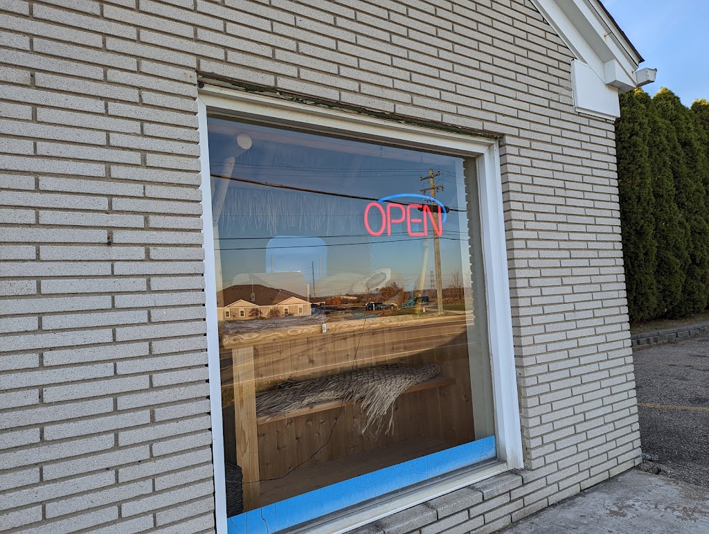 Dolphin Pool Supplies | 66099 Van Dyke Ave, Washington, MI 48095, USA | Phone: (586) 336-9972