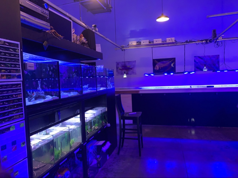 Reefwise | 5401 Patton Dr #105, Lisle, IL 60532, USA | Phone: (630) 541-5486