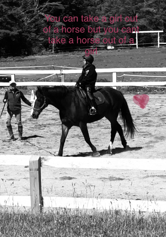 Emerald Glen Equestrian Center | 15355 NY-22, Stephentown, NY 12168, USA | Phone: (518) 768-1233