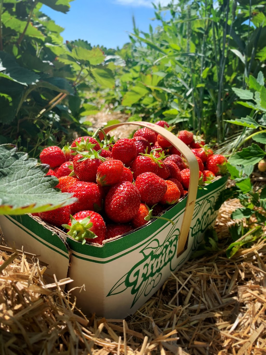 The Red Barn Farm Market and Bakery | Jordan Station, Lincoln, ON L0R 1S0, Canada | Phone: (905) 401-5249