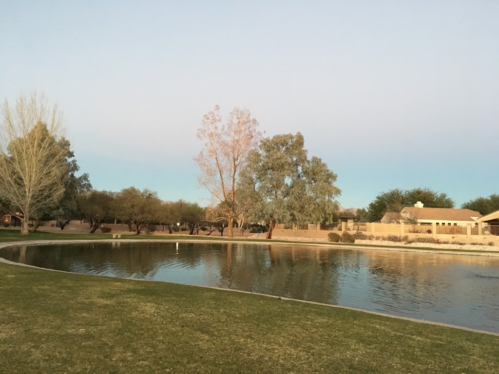 The Lakes at Castle Rock Recreation Center | 9490 N Castle Rock Dr, Tucson, AZ 85749, USA | Phone: (520) 297-0797