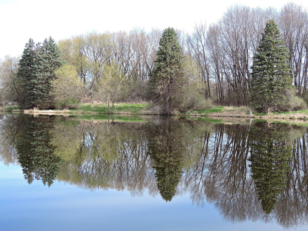 Cleary Lake Regional Park | 18106 Texas Ave, Prior Lake, MN 55372, USA | Phone: (763) 694-7777