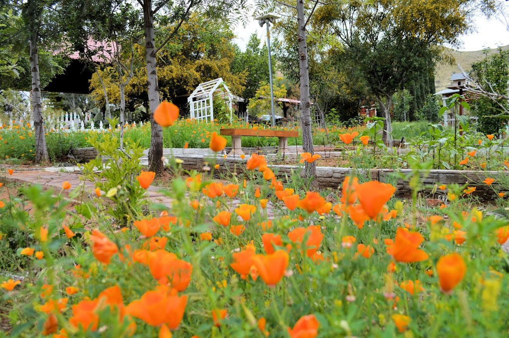 Rancho La Divina Misericordia | Unnamed Road, 21503 B.C., Mexico | Phone: 665 655 9325