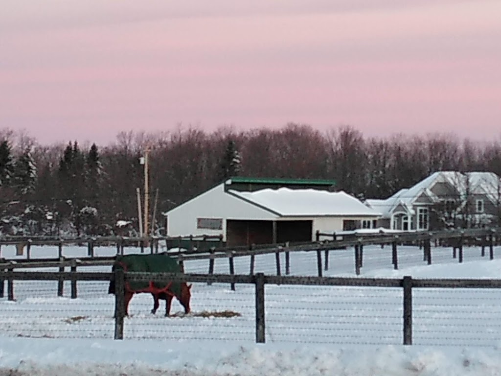 Legacy Equestrian Center | 7909 Sherman Rd, Chesterland, OH 44026, USA | Phone: (440) 479-4151