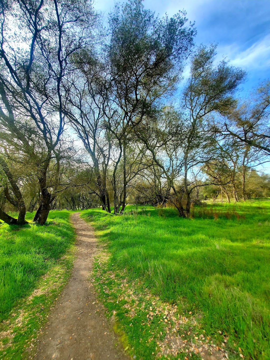 Effie Yeaw Nature Center | 2850 San Lorenzo Way, Carmichael, CA 95608, USA | Phone: (916) 489-4918