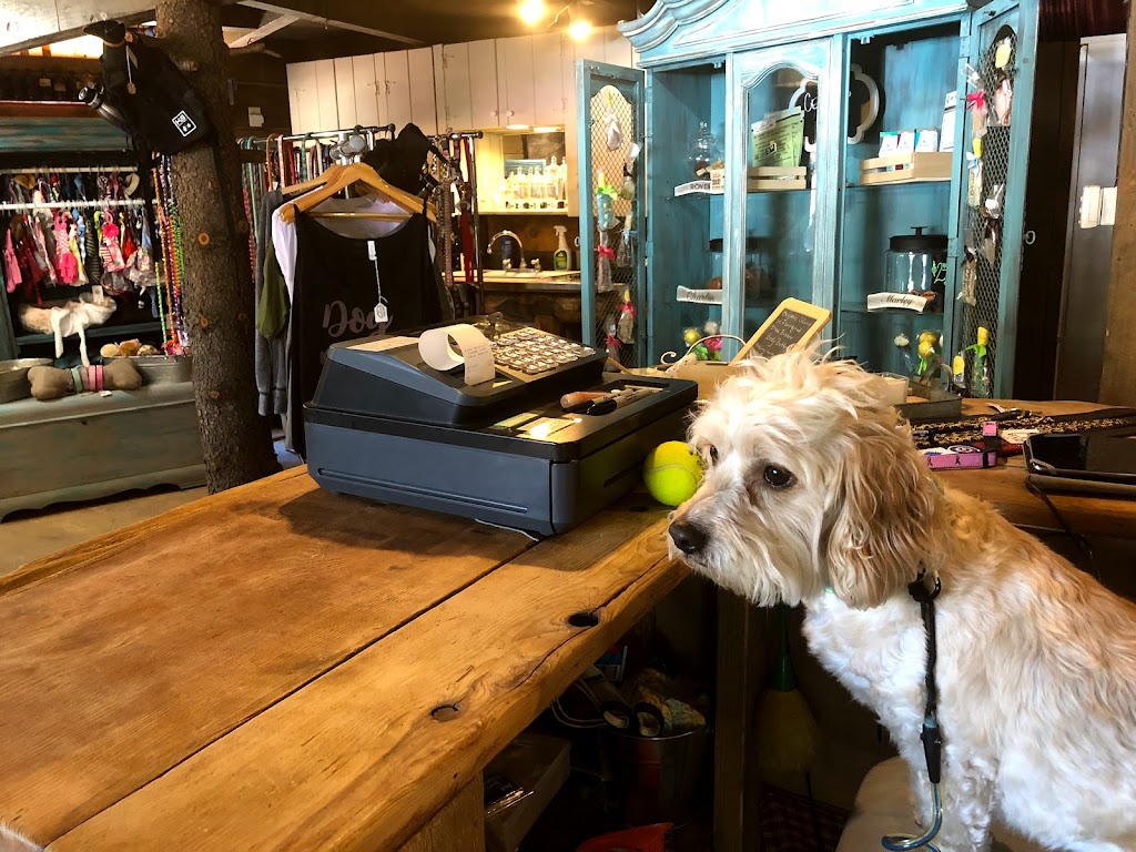 Ruff Life Dog Boutique | 2514 Alpine Blvd, Alpine, CA 91901, USA | Phone: (619) 987-5996 Ruff Life Dog Boutique | 2514 Alpine Blvd, Alpine, CA 91901, USA | Phone: (619) 987-5996