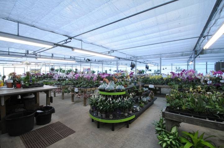 Atlantic Gardening | 5217 Atlantic Ave, Raleigh, NC 27616, USA | Phone: (919) 878-8877