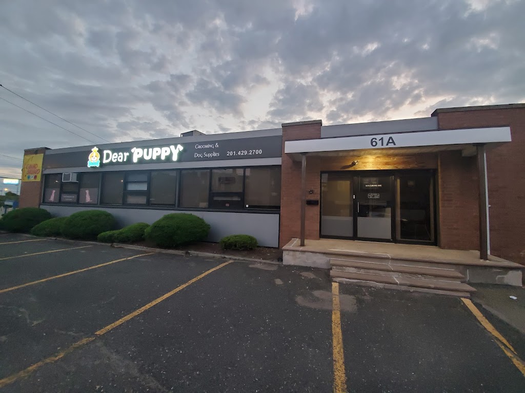 DEAR PUPPY | 61 A Grand Ave, Palisades Park, NJ 07650, USA | Phone: (201) 429-2700