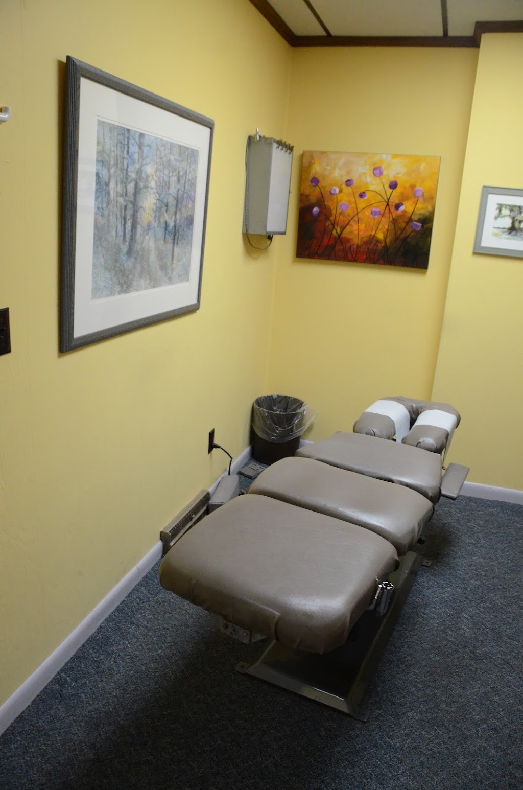 Racine Family Care Chiropractic | 2710 Wright Ave, Racine, WI 53405, USA | Phone: (262) 633-4016