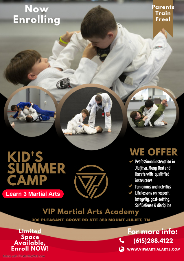 V.I.P. Martial Arts Academy | 300 Pleasant Grove Rd Suite #350, Mt. Juliet, TN 37122 | Phone: (615) 288-4122