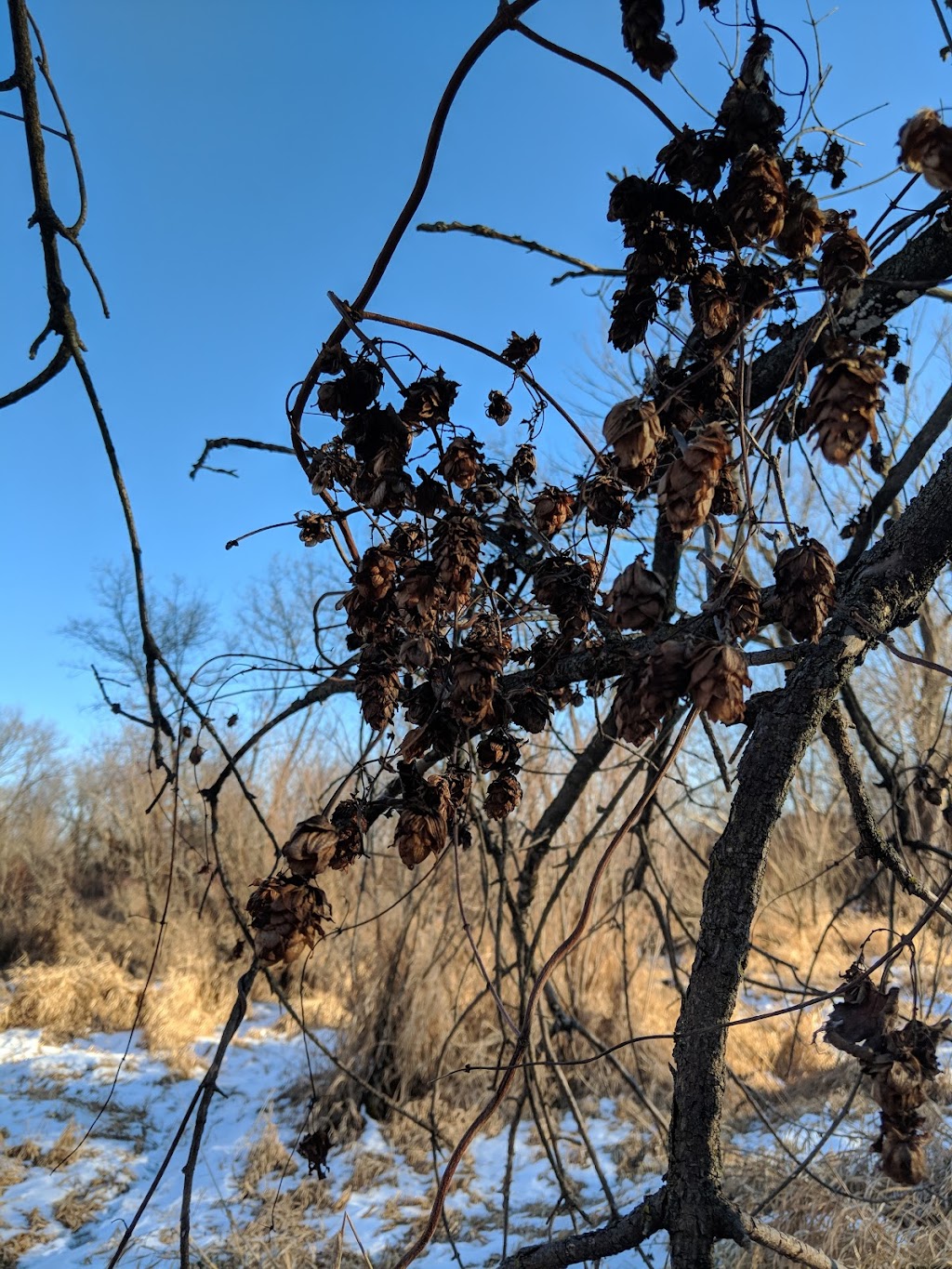 Cherokee Marsh State Fishery Area | Madison, WI 53704, USA | Phone: (608) 275-3225