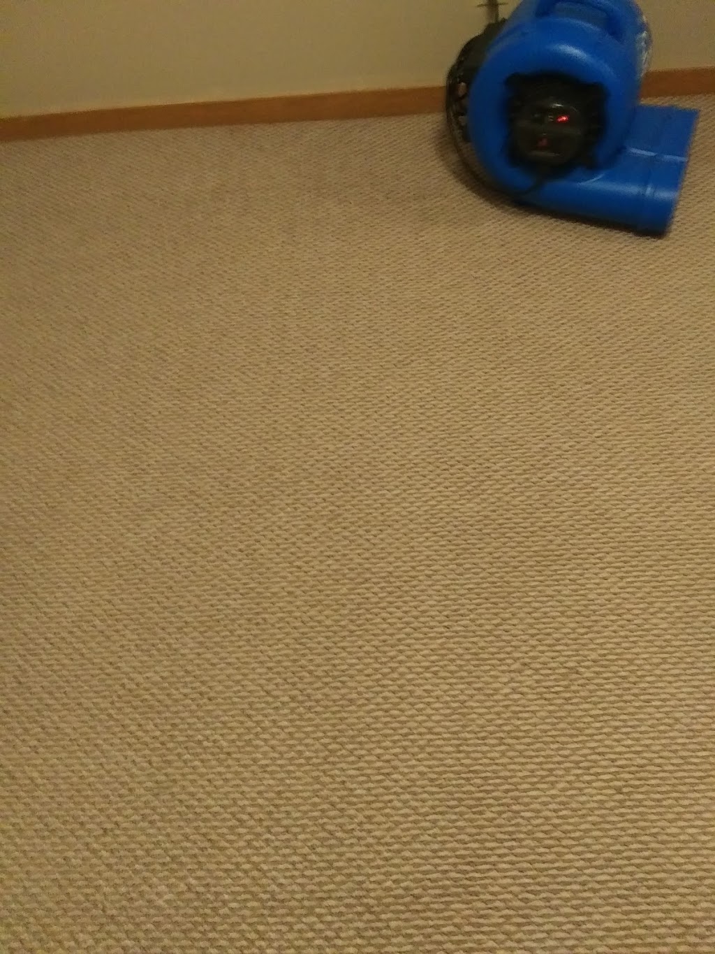 Steam Action Carpet Cleaning | 1110 Vandalia Rd, Hillsboro, IL 62049, USA | Phone: (618) 971-1658