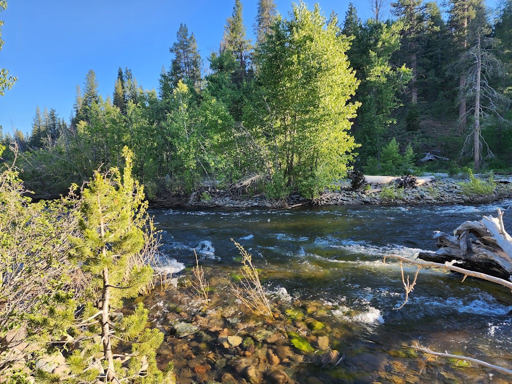 Lower Little Truckee Campground | CA-89, Sierraville, CA 96126, USA | Phone: (530) 994-3401