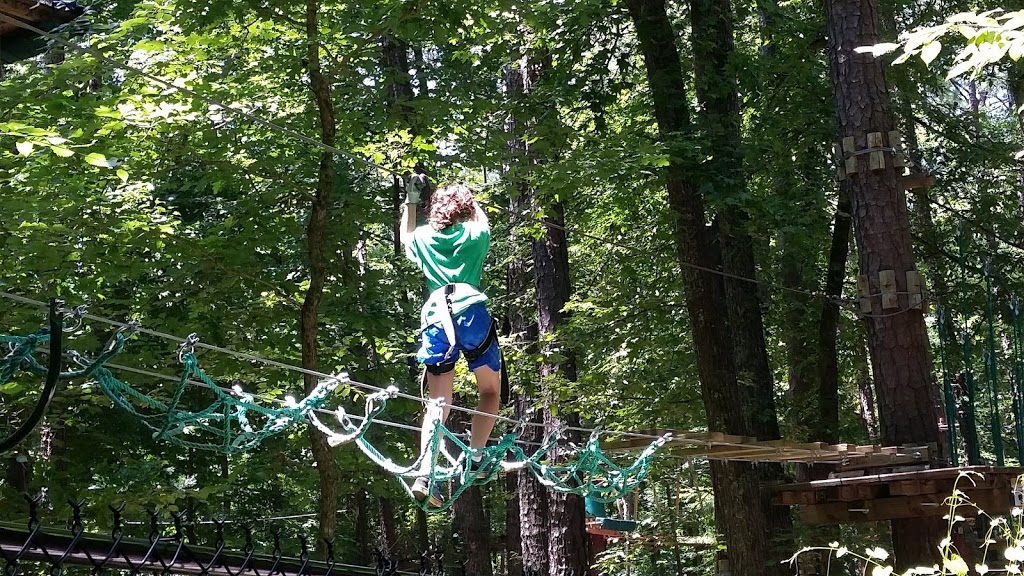 Treetop Quest Dunwoody | 2341 Peeler Rd, Dunwoody, GA 30338 | Phone: (770) 365-0356