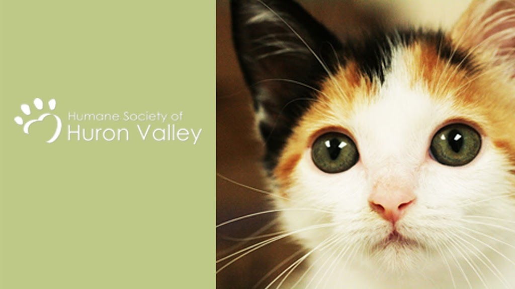 Humane Society of Huron Valley | 3100 Cherry Hill Rd, Ann Arbor, MI 48105, USA | Phone: (734) 662-5585