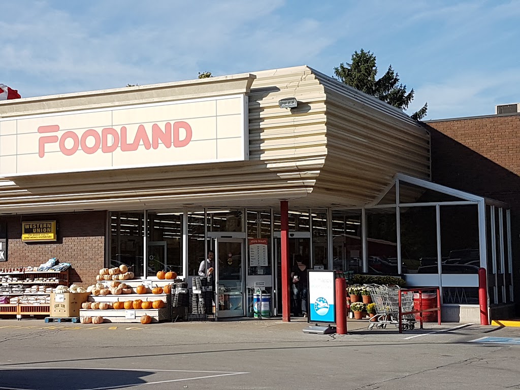 Foodland - Vineland | 3357 King St, Vineland, ON L0R 2C0, Canada | Phone: (905) 562-5881