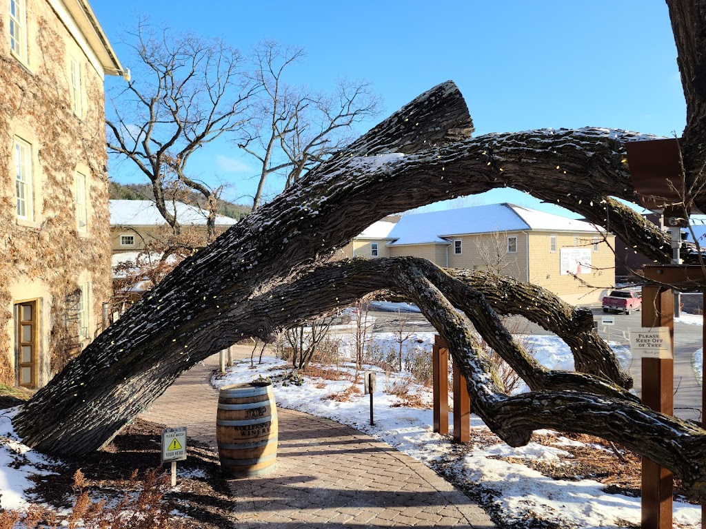 Wollersheim Winery & Distillery | 7876 WI-188, Prairie Du Sac, WI 53578, USA | Phone: (608) 643-6515