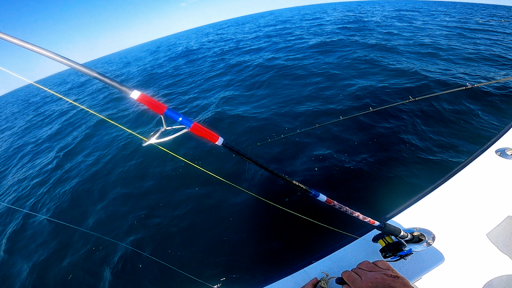 Foolish Angler LLC | Caratoke Hwy POB 849, Moyock, NC 27958, USA | Phone: (757) 620-6469