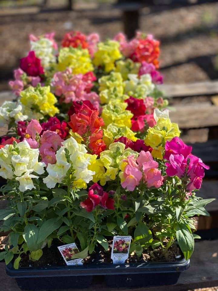 Yensen Landscape & Supply Llc | 191 Bethany Pike Hwy, Wheeling, WV 26003, USA | Phone: (304) 905-9014