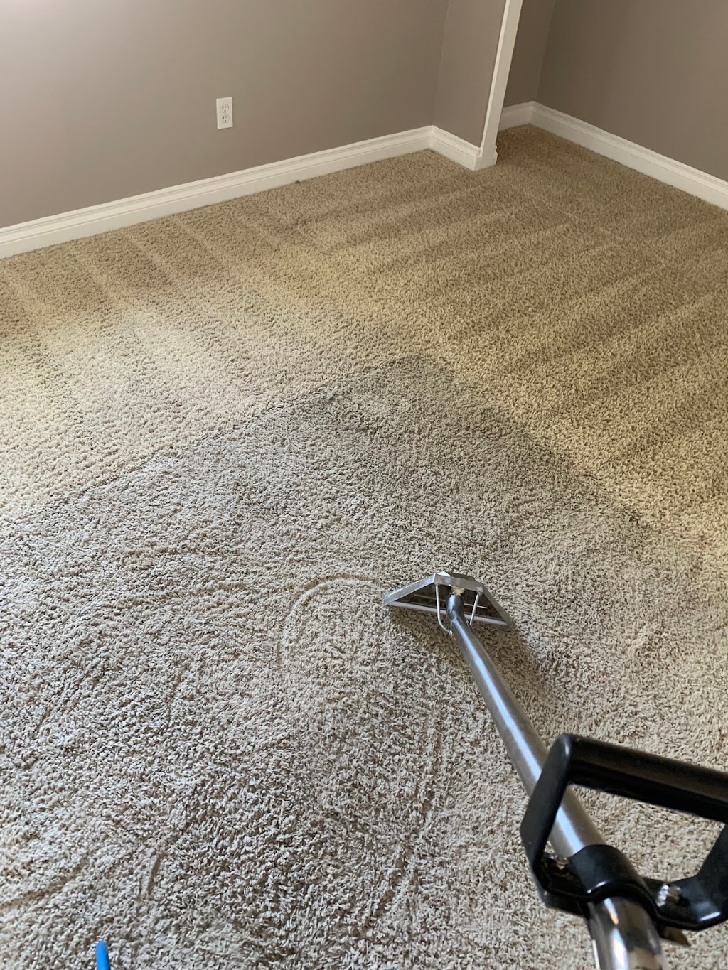 Steam Brothers Carpet Cleaning And More | 132 N Malena Dr, Orange, CA 92869, USA | Phone: (714) 757-7940