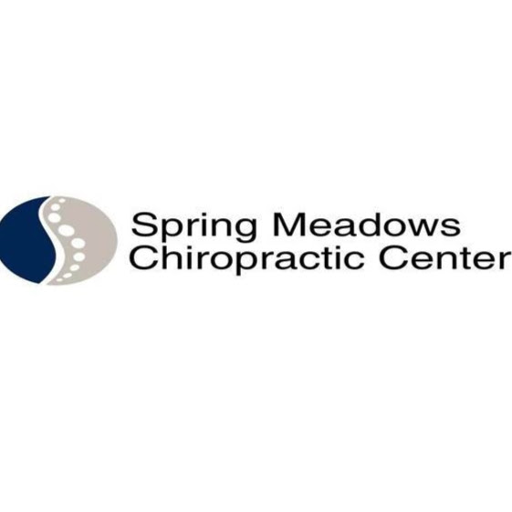 Spring Meadows Chiropractic | 6823 Spring Valley Dr, Holland, OH 43528, USA | Phone: (419) 866-6325