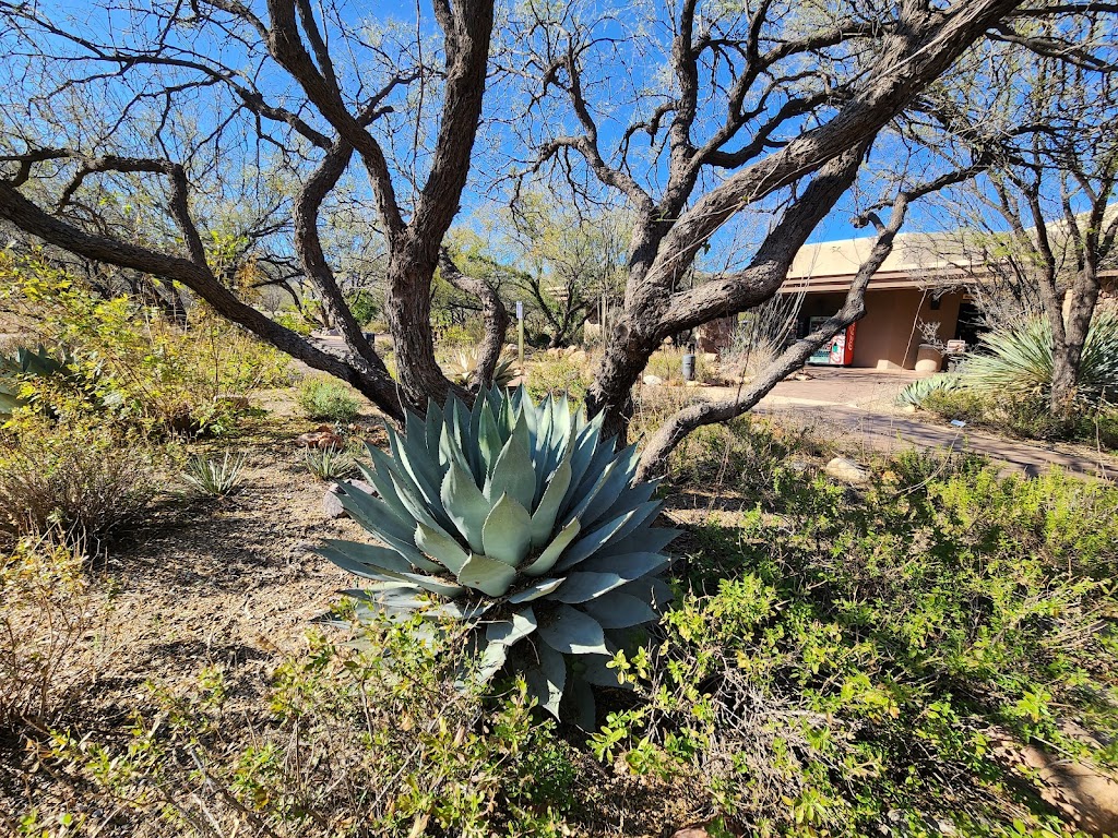 Kartchner Caverns State Park | 2980 AZ-90, Benson, AZ 85602, USA | Phone: (520) 586-4100