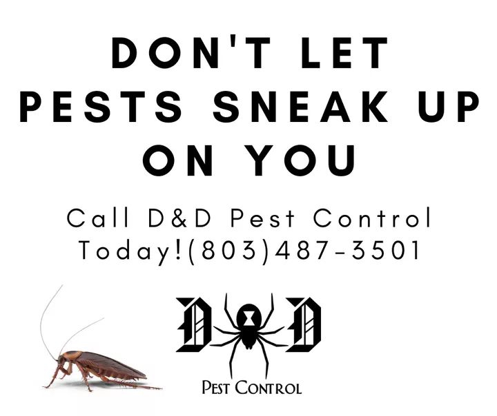 D&D Pest Control | 5055 Country Oaks Dr, Rock Hill, SC 29732, USA | Phone: (803) 487-3501