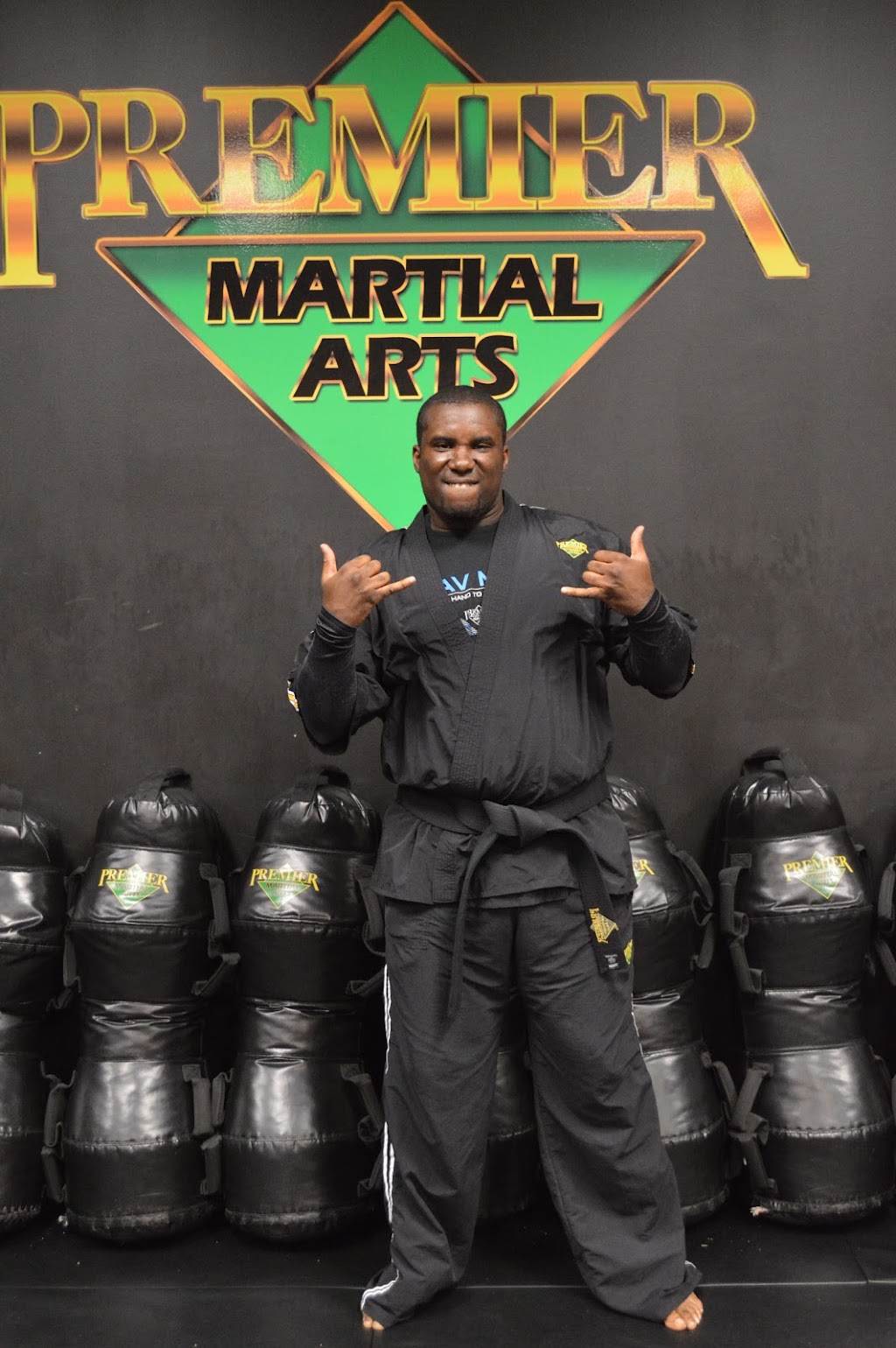 Premier Martial Arts | 9231 Sudley Rd, Manassas, VA 20110, USA | Phone: (703) 361-3428