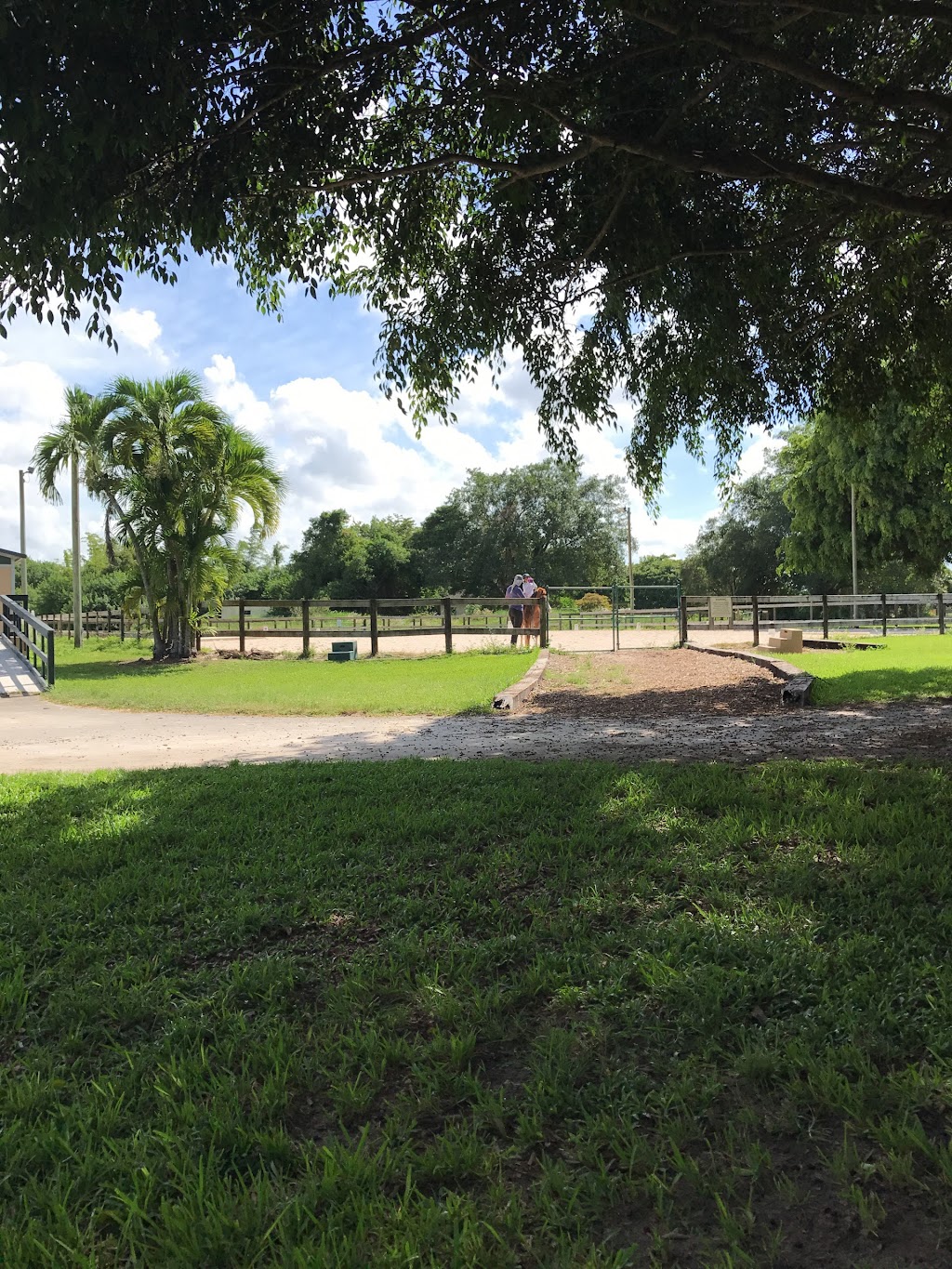 Good Hope Equestrian Training Center | 22155 SW 147th Ave, Miami, FL 33170, USA | Phone: (305) 297-4729