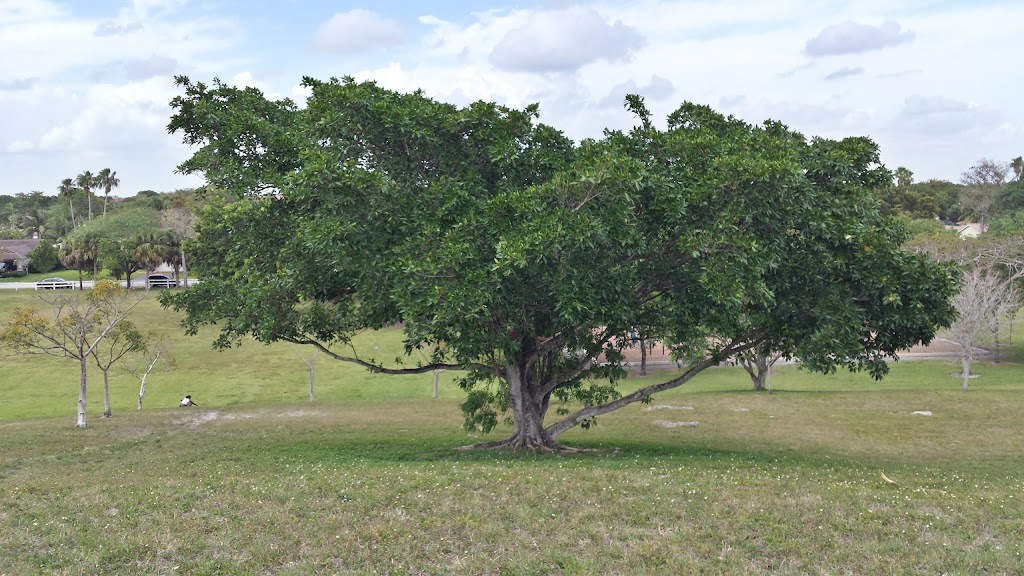 Three Mountains Natural Area | 9200 NW 1st St, Coral Springs, FL 33071, USA | Phone: (954) 345-2200