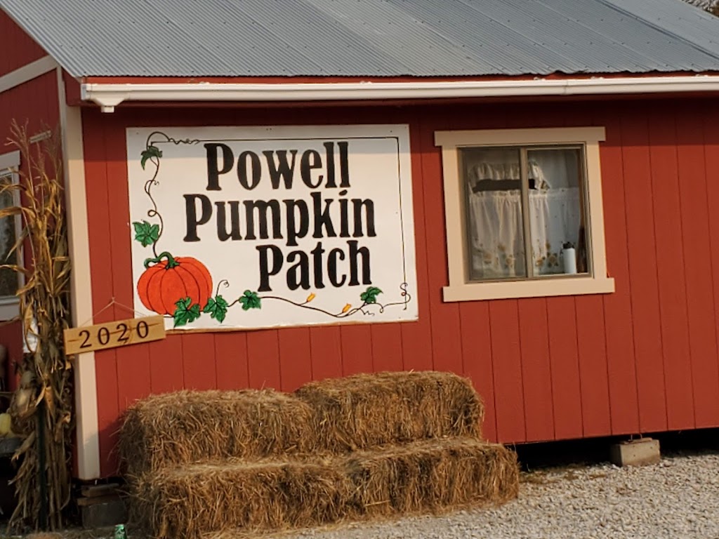 Powell Pumpkin Patch | 25695 Spring Valley Rd, Louisburg, KS 66053, USA | Phone: (913) 879-2477