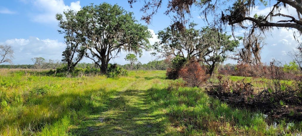 Myakka River State Park - Foxs Low Road Trail Head | Myakka State Park Rd, Sarasota, FL 34240, USA | Phone: (941) 361-6511