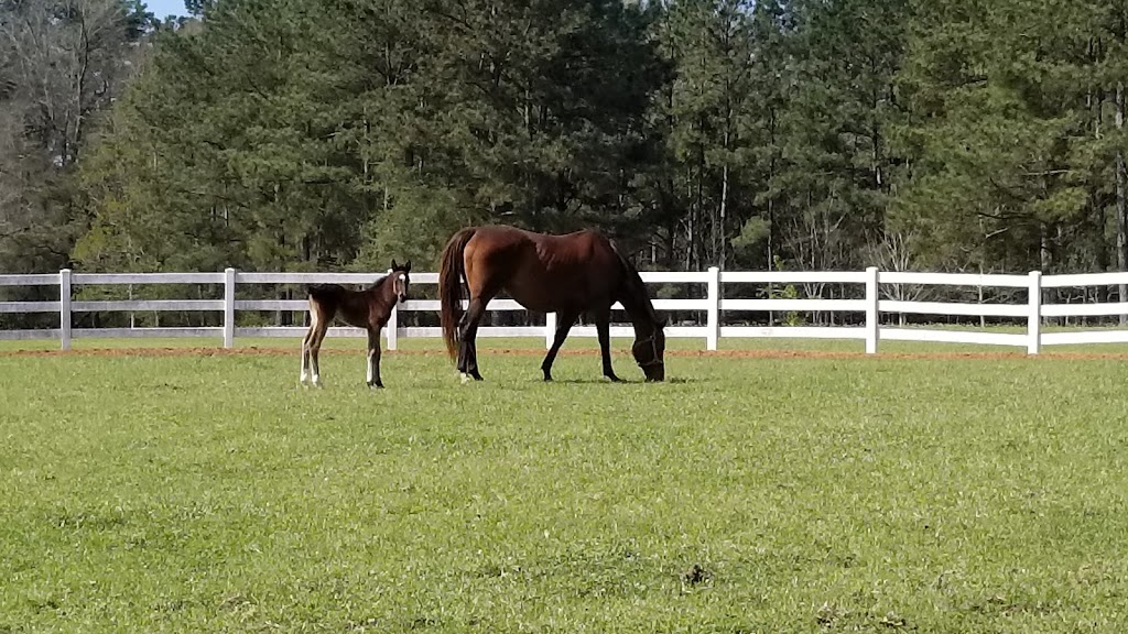 Hidden Creek Stables | 11060 Willie, Garrett Rd, Franklinton, LA 70438, USA | Phone: (985) 260-0055