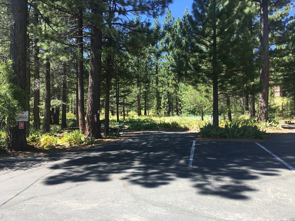 Tahoe Donner Campground | 13813 Alder Creek Rd, Truckee, CA 96161, USA | Phone: (530) 587-9462