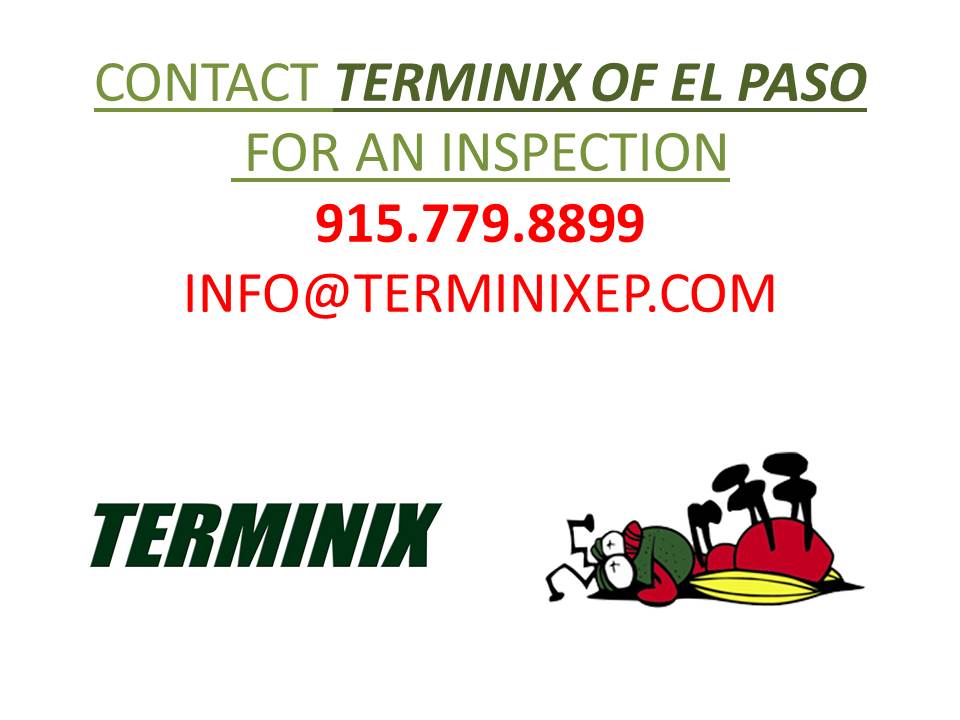 Terminix | 1015 Wall St, El Paso, TX 79915, USA | Phone: (915) 779-8899