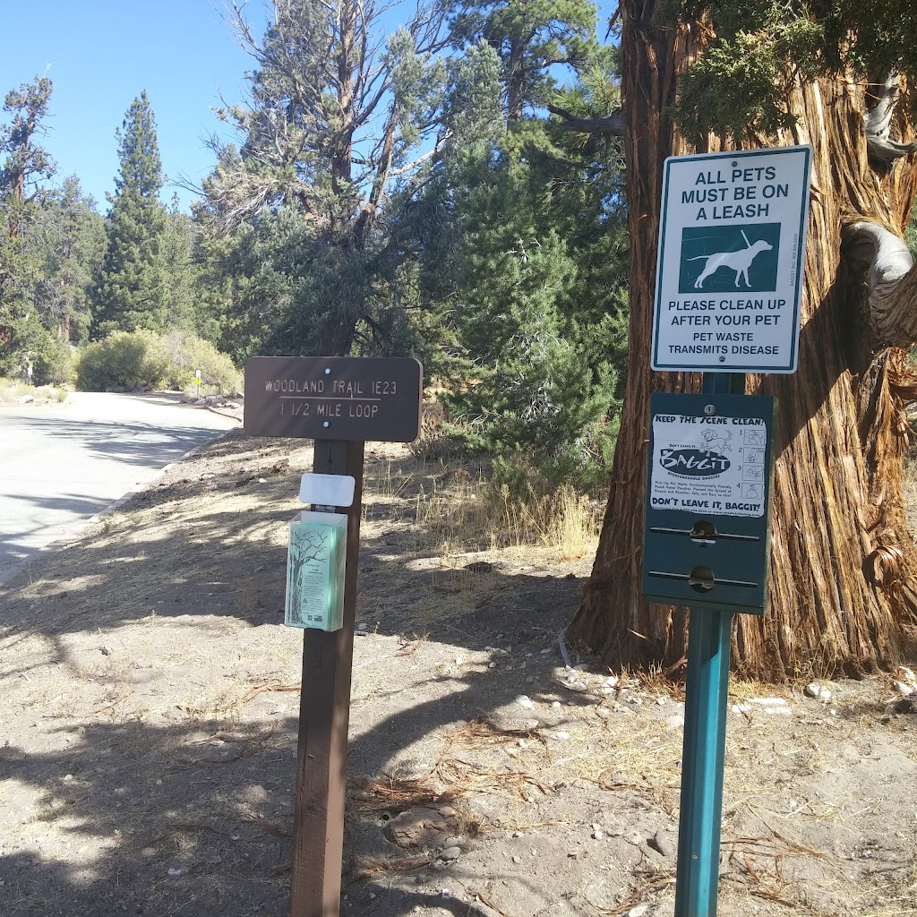 Woodland Trail 1E23 | 41948 N Shore Dr, Big Bear, CA 92314, USA | Phone: (909) 382-2790