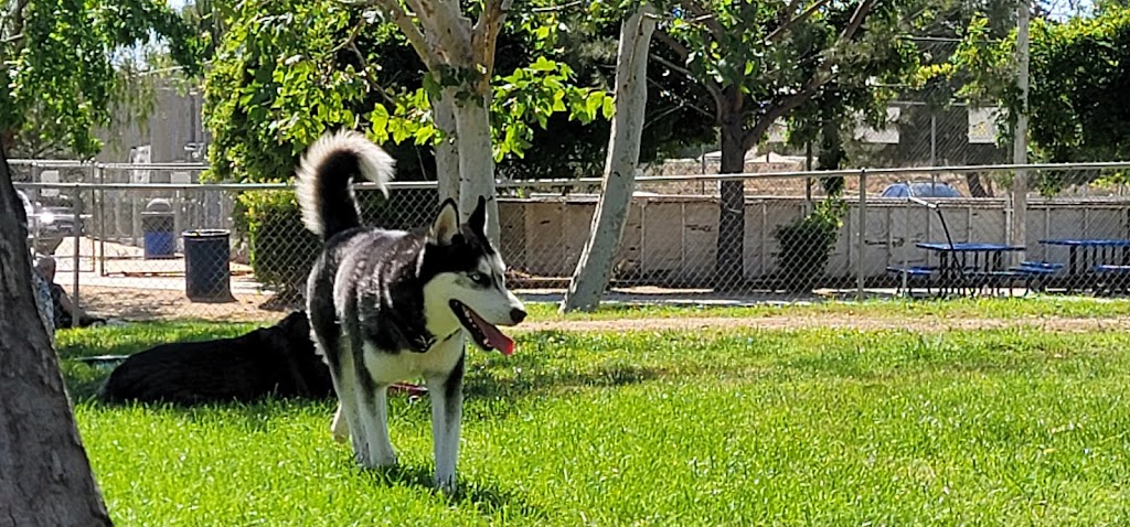 Noble Dog Park | 390 Oak Valley Pkwy, Beaumont, CA 92223 | Phone: (909) 915-0631