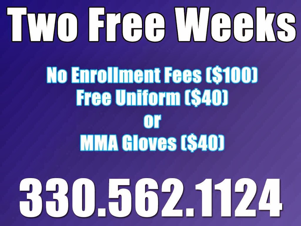 Family Martial Arts Academy | 323 E Garfield Rd, Aurora, OH 44202, USA | Phone: (330) 562-1124