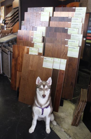 Dallas Carpet Outlet & Fine Floors | 4306 Bryan St, Dallas, TX 75204, USA | Phone: (214) 342-1100