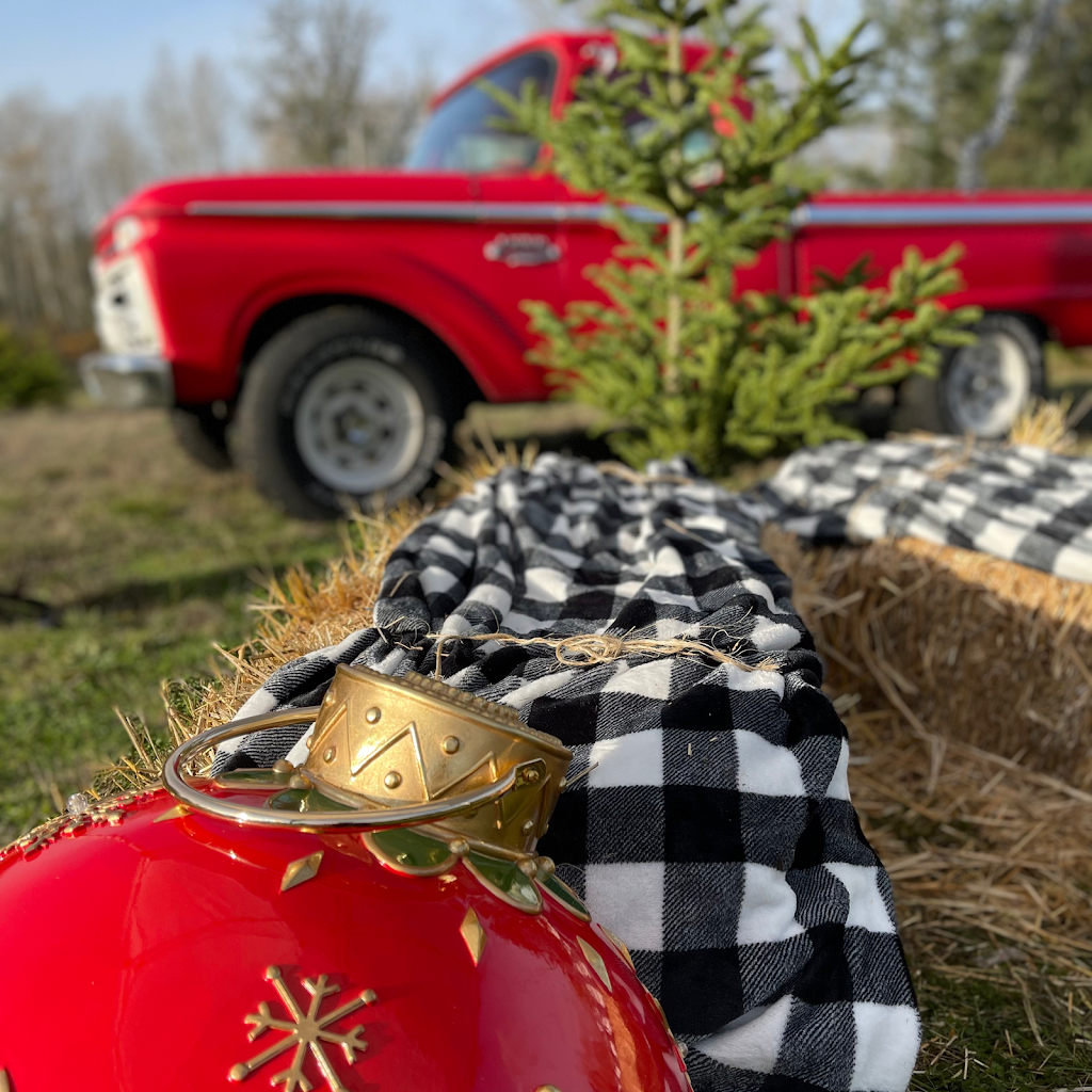 Green Acres Christmas Tree Farm | 11025 36th St E, Edgewood, WA 98372, USA | Phone: (253) 677-9784