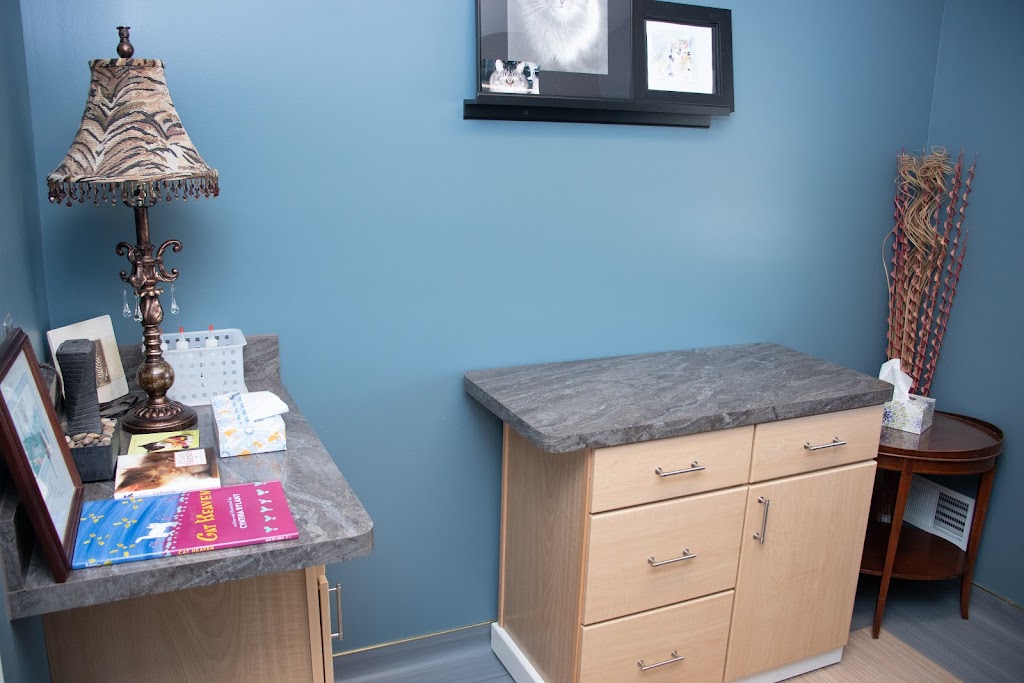 Country Cat Clinic | 6279 N Territorial Rd, Plymouth, MI 48170, USA | Phone: (734) 913-2287