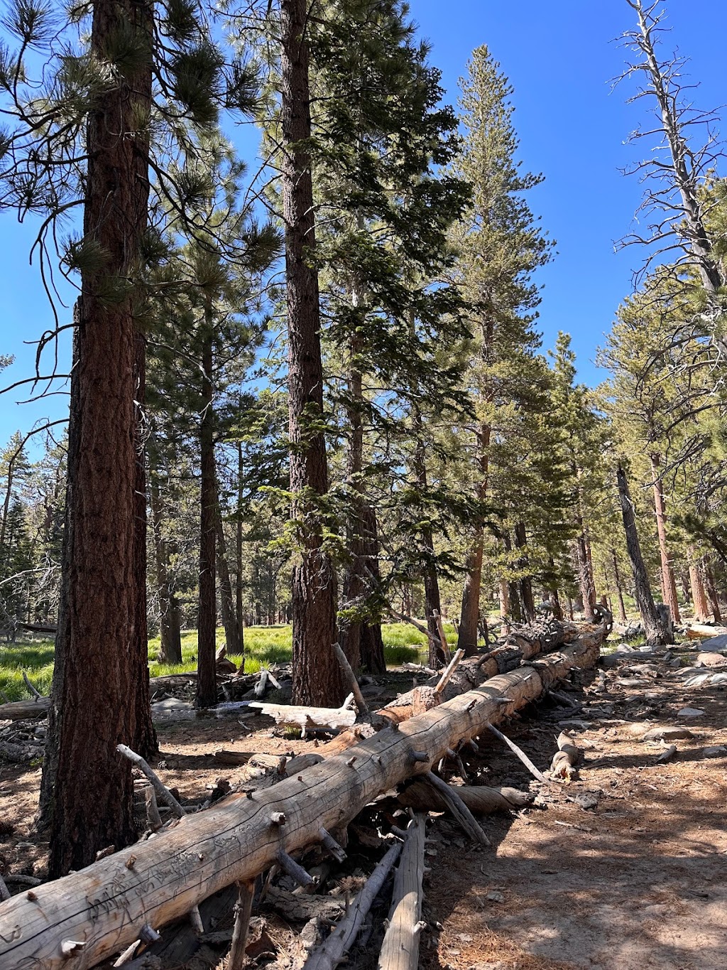 Round Valley Trailhead | Round Valley Trail, California, USA | Phone: (760) 325-1449