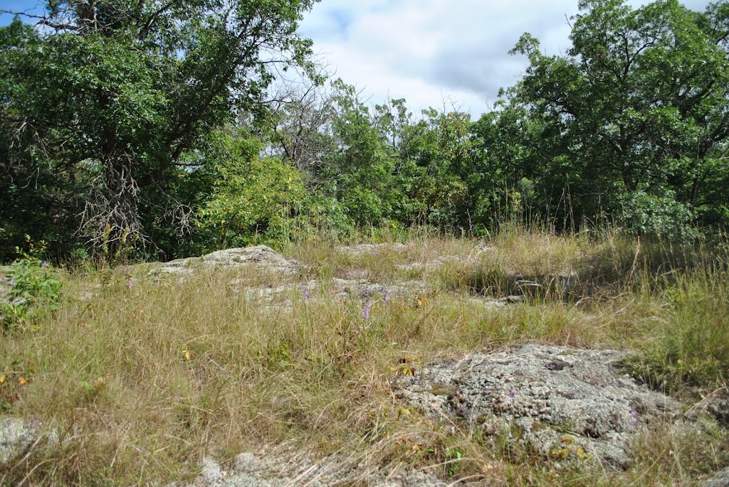 Centennial Bedrock Glade State Natural Area | Dresser, WI 54009, USA | Phone: (608) 266-0394