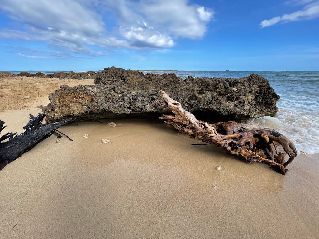 Mokuauia Islet Seabird Sanctuary | Laie, HI 96762 | Phone: (808) 587-0400