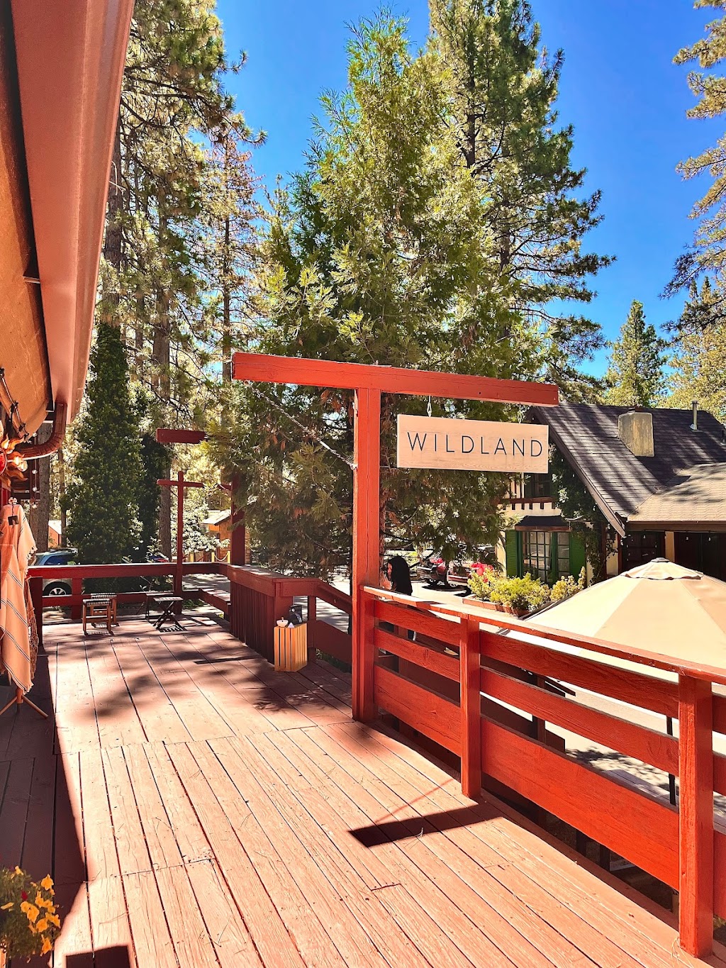 WILDLAND | 54425 N Circle Dr #4, Idyllwild-Pine Cove, CA 92549, USA | Phone: (951) 468-4044