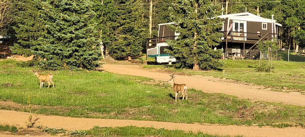 Rocking M Ranch Campground | 12654 CO-67, Cripple Creek, CO 80813, USA | Phone: (719) 600-9282