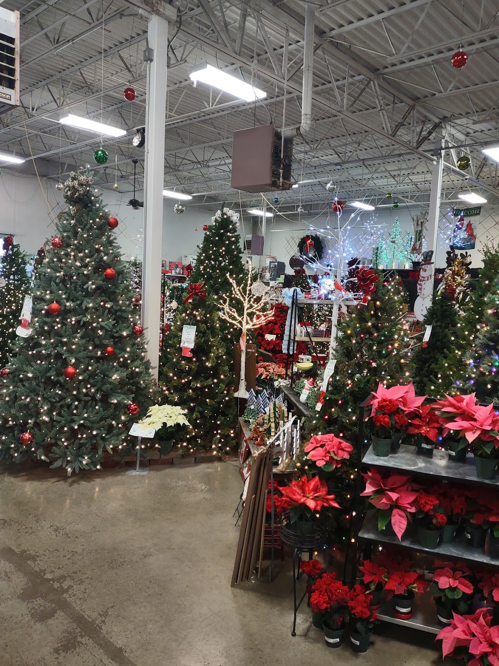 Straders Garden Center | 2625 London Groveport Rd, Grove City, OH 43123, USA | Phone: (614) 875-0606